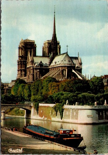 Notre dame cathedral paris - dame,