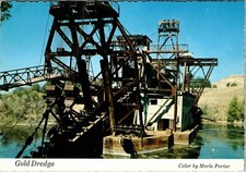 Continental Postcard Gold